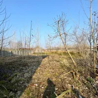 زمین ۲۱۶ متری مسکونی باپروانه ساخت روستایی لنگرود