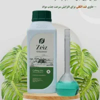 کل مگ یک لیتری زایز انگلستان