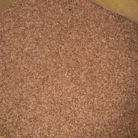 گندم دیم تمیز