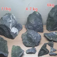 اکواریوم|ماهی|تهران, جمال‌زاده|دیوار