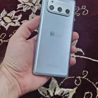 داریا باند در حد