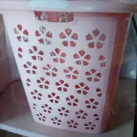 سبد