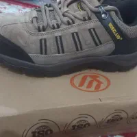 کفش ایمنی اصل ، اصل  تضمینی با کارتون