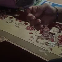قناری محلی
