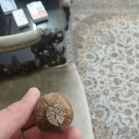 مشگه اهو|آرایشی، بهداشتی، درمانی|دامغان, |دیوار