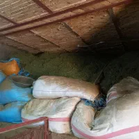 حدود ۲۰خلوارکاه سفید دیم وگل یونجه وشبدرفروشی