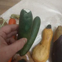 سیفی جات|صنایع دستی و سایر لوازم تزئینی|تبریز, |دیوار