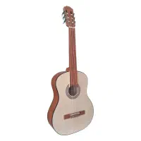 گیتار کلاسیک آلگرو pro