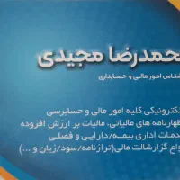 ارائه خدمات مالی و مالیاتی