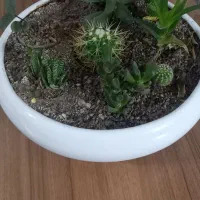 گلدان رومیزی دو عدد