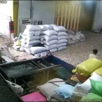 استخدام کارگر وسط کار برای سبدسازی