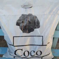 بازار یاب و ویزیتور با خودرو