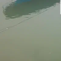 تشت ۲۰فوت نو وموتور۴۰مدل ۲۰۲۳|قایق و سایر وسایل نقلیه|بندر دیر, |دیوار