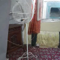 قفس پرنده عروس هلندی