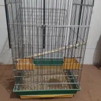 قفس بزرگ کاسکویی