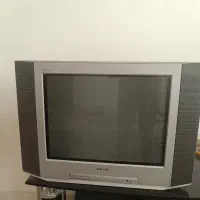تلویزیون