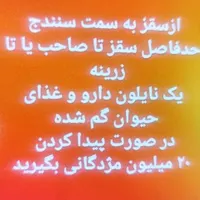 مژدگانی ۲۰ میلیونی برای داروی گم شده