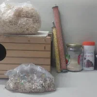 ملزومات عروس هلندی