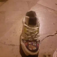 کتونی ZX 8000 سفارش کره|کیف، کفش، کمربند|رباط‌کریم, رباط‌کریم|دیوار