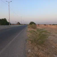فروش دو قطعه زمین کشاورزی
