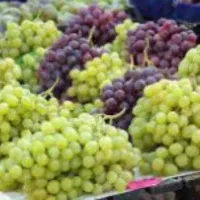 آبگیری انگور با دستگاه مخصوص