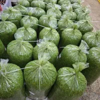 سبزی|خوردنی و آشامیدنی|تهران, میدان میوه و تره‌بار مرکزی|دیوار