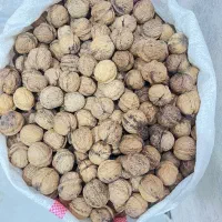 گردو امسال|خوردنی و آشامیدنی|تهران, چیتگر جنوبی|دیوار