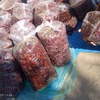 خرما مرداسنگ