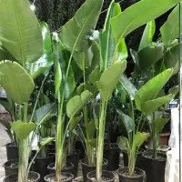 نیازمند نظافتچی برای کلینیک