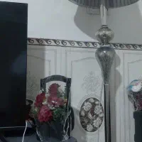 اباژور ایستاده