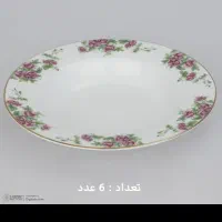 سرویس 6نفره گلسرخی زرین نوباکارتن|ظروف سرو و پذیرایی|ری, دولتآباد|دیوار