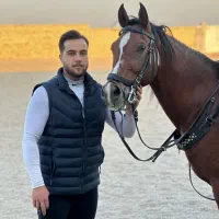 اسب دو سر عرب