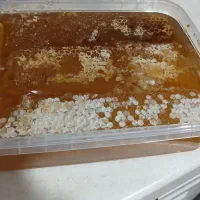 عسل باغی ( دنا شهد)|خوردنی و آشامیدنی|تهران, جیحون|دیوار