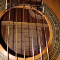 دو عدد  گیتار آنتونیا و پائوچیا