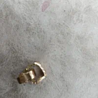 انگشتر|جواهرات|یاسوج, |دیوار