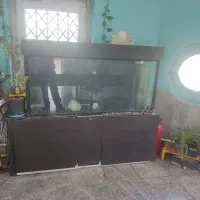 اکواریوم بزرگ شیشه ده میل