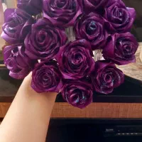 گل روبانی زیبا در انواع رنگ