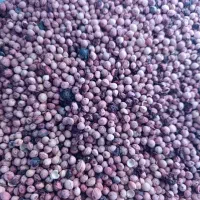 هسته البالو|عمده‌فروشی|تهران, شهرک ولیعصر جنوبی|دیوار