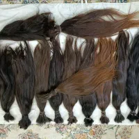 خرید مو با قیمت استثنایی