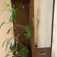 جاکفشی|جاکفشی، کمد، دراور|اسلام‌شهر, شهرک مصطفی خمینی|دیوار