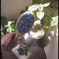 برس چوبی طرح دار