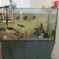 آکواریم همراه با لوازم