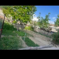زمین گشاورزی برای یونجه