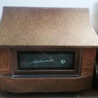 بخاری ادنیس