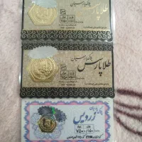 سکه پارسیان