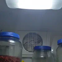 یخچال خونگی سالم|یخچال و فریزر|قم, تعویض پلاک|دیوار