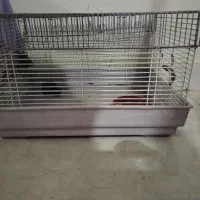 قفس خرگوش معاوضه با قفس سهره