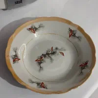 سرویس غذاخوری ۲۴ نفره چینی قیمت ۶۰۰۰/۰۰۰ تومان|ظروف سرو و پذیرایی|خرمآباد, |دیوار