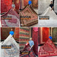 پرستیژ قالی قالی قالی بافی|فرش|اهواز, پادادشهر|دیوار