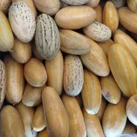 خربزه زرد و افغانی